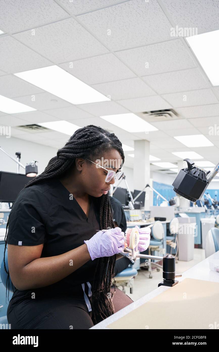 Entzückte afroamerikanische Weibchen mit Zöpfen mit Mundspiegel und Fragen Sie den Mitarbeiter, um falsche Zähne während der Arbeit im Labor zu zeigen Stockfoto