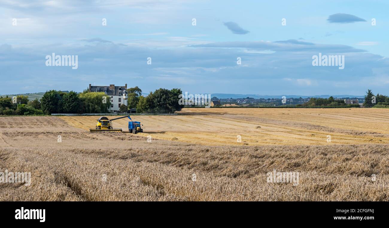 East Lothian, Schottland, Großbritannien, 5. September 2020. UK Wetter: Letzte Getreideernte. Die letzten Getreidefelder werden in diesem Teil der Grafschaft geerntet. Ein Weizenfeld neben Ballencrieff House. Mit einem New Holland Mähdrescher Stockfoto