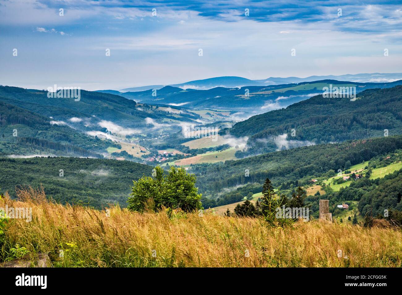 Taschen von Morgennebel, Hügel bei Weißen Karpaten, Blick von der Straße in der Nähe von Dorf Vyskovec, Zlin Region, Slovacko (Mährische Slowakei), Tschechische Republik Stockfoto