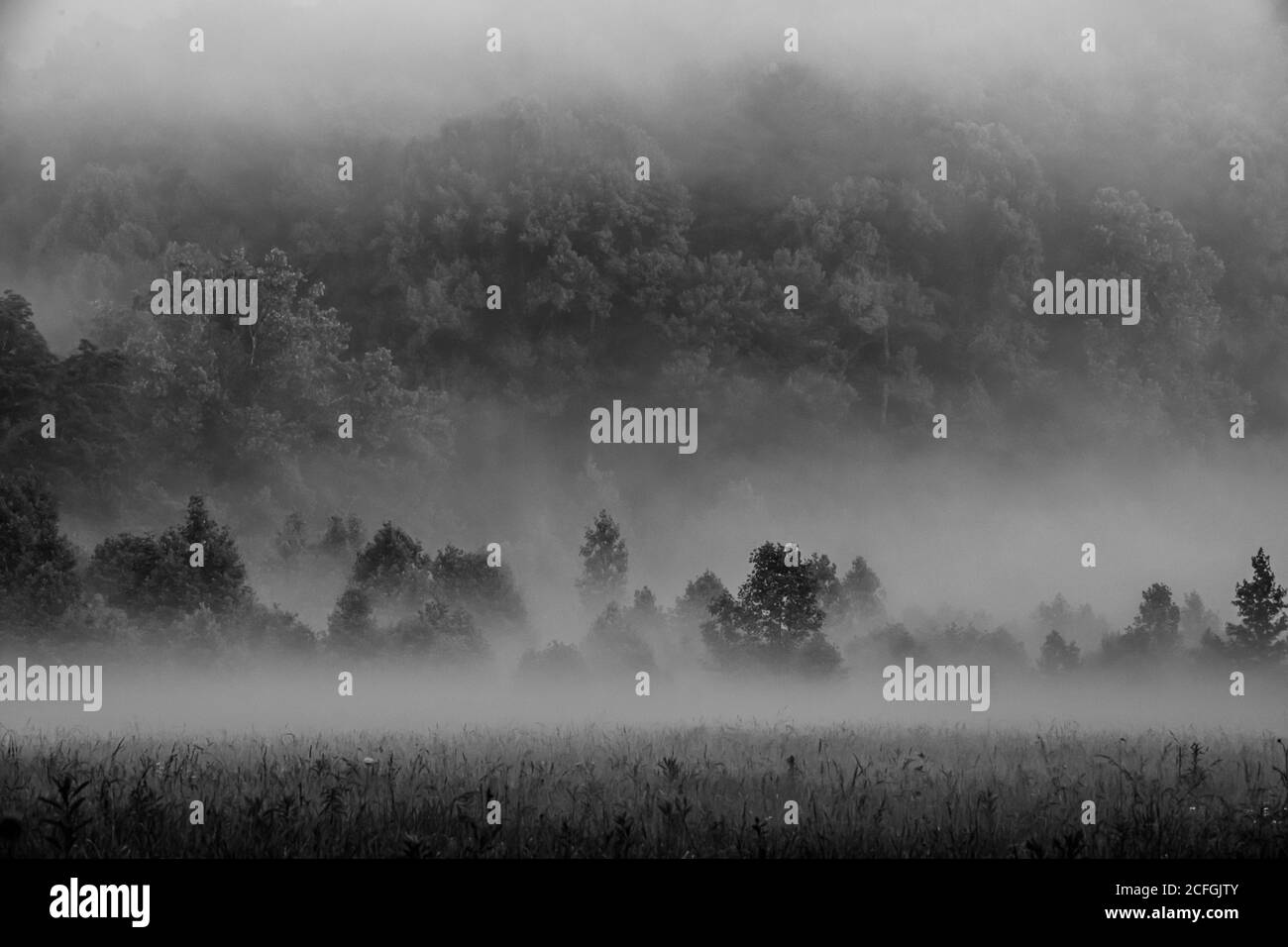 Abendmist in Cades Cove kurz vor Einbruch der Dunkelheit Stockfoto