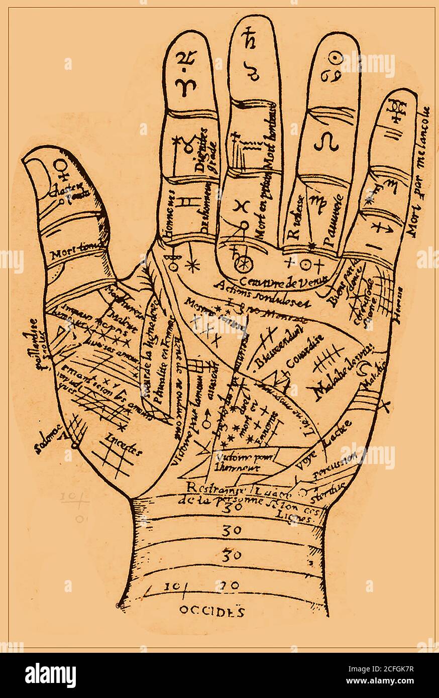 Palmistry / Chiromancy / Cheiromancy / Palm Reading / Chirology - ein altes Horoskop, das die Linien der Hand, ihre Bedeutungen und ihre Beziehung zu den Tierkreiszeichen zeigt. Stockfoto