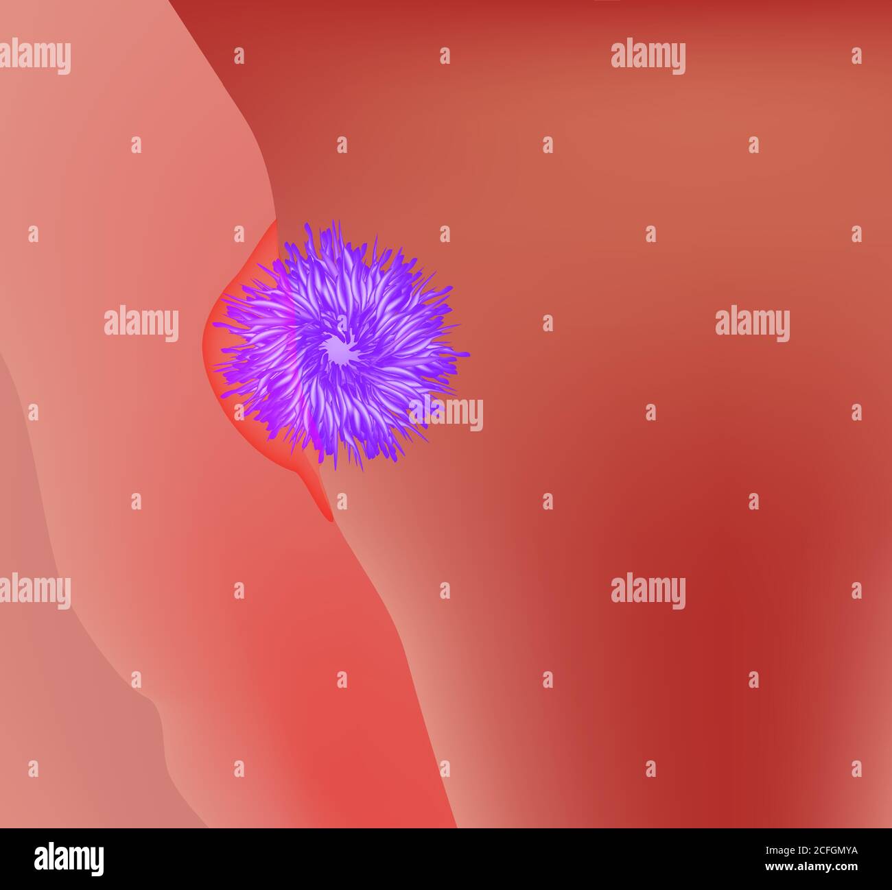 Die Einführung des Eies in die Gebärmutter. Embryo-Implantation. Die Struktur des Eies. Ovum Anatomie. Vektorgrafik auf isoliertem Hintergrund Stock Vektor