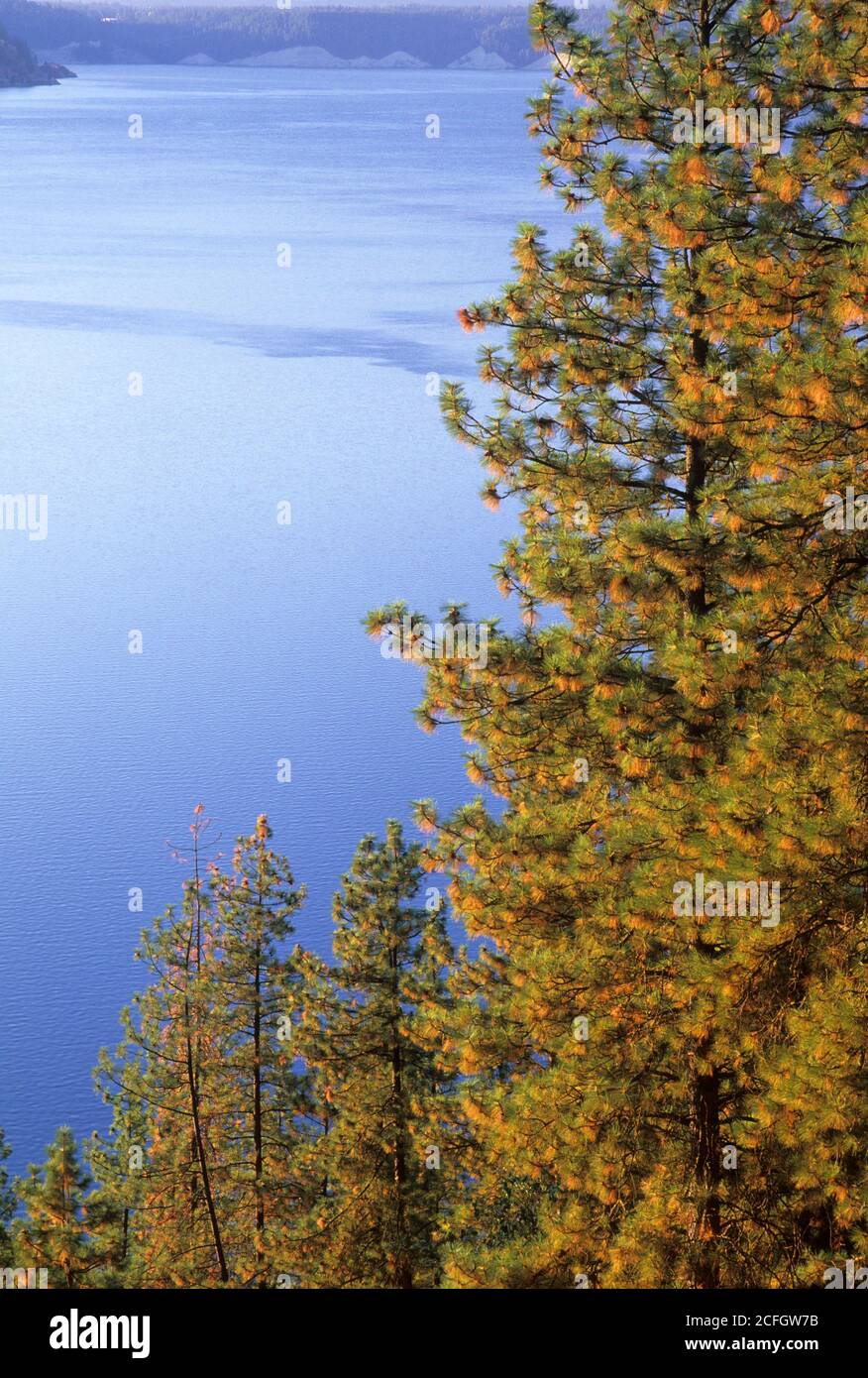 Franklin D Roosevelt Lake, Lake Roosevelt National Recreation Area, Washington Stockfoto