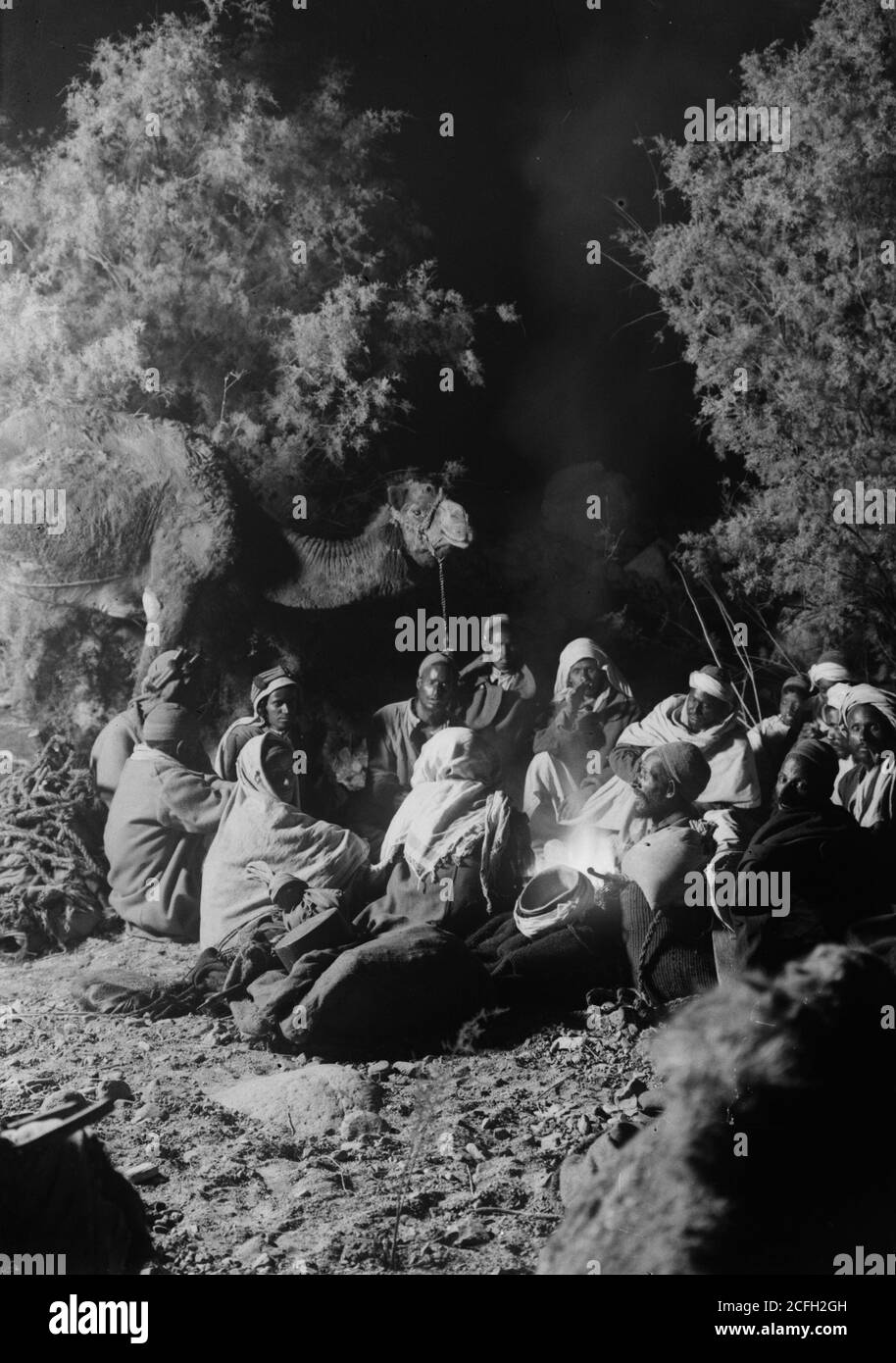 Bildunterschrift: Nach Sinai über das Rote Meer Tor und Wady Hebran. Typische Szene am Lagerfeuer in der Nacht. - Lage: Sinai Ägypten ca. 1900 Stockfoto