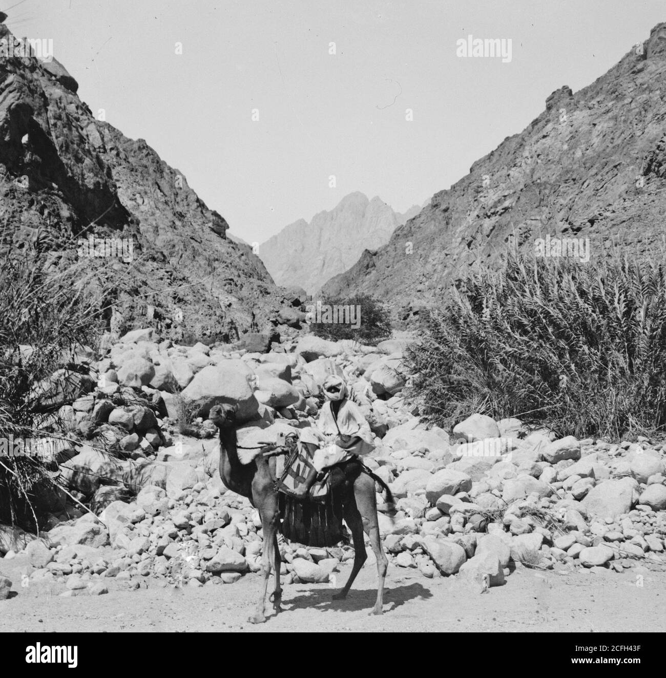 Middle East History - Sinai über das Rote Meer Tor und Wady Hebran. Jebel Umm Shomer aus Wady Islei. Stockfoto