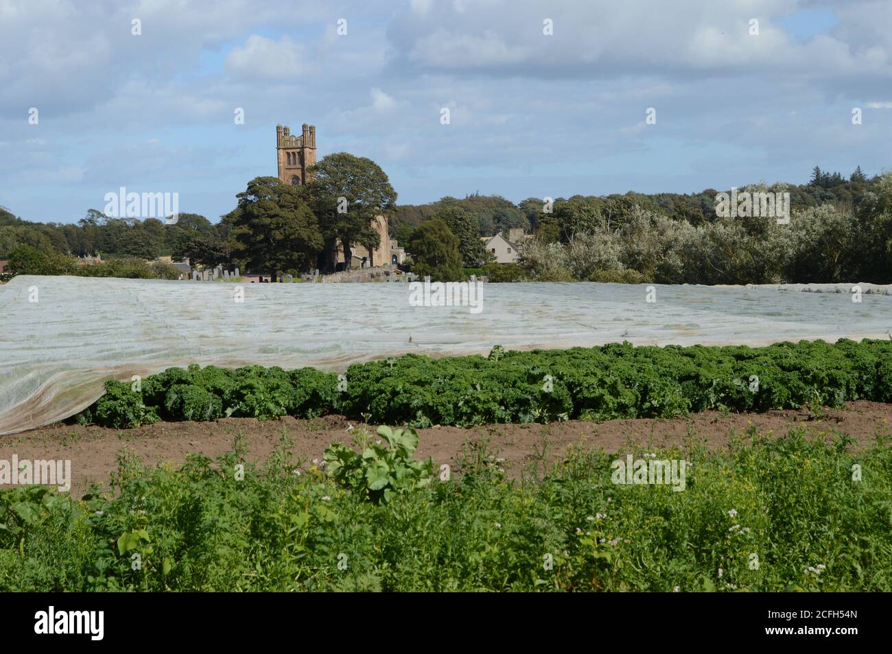 Blick über einen See aus Vlies zur Kilconquhar Church, Fife, Schottland Stockfoto