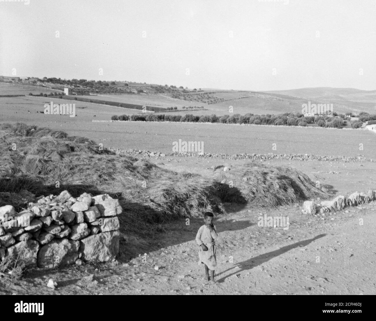 Hirten der 1920er jahre -Fotos und -Bildmaterial in hoher Auflösung – Alamy
