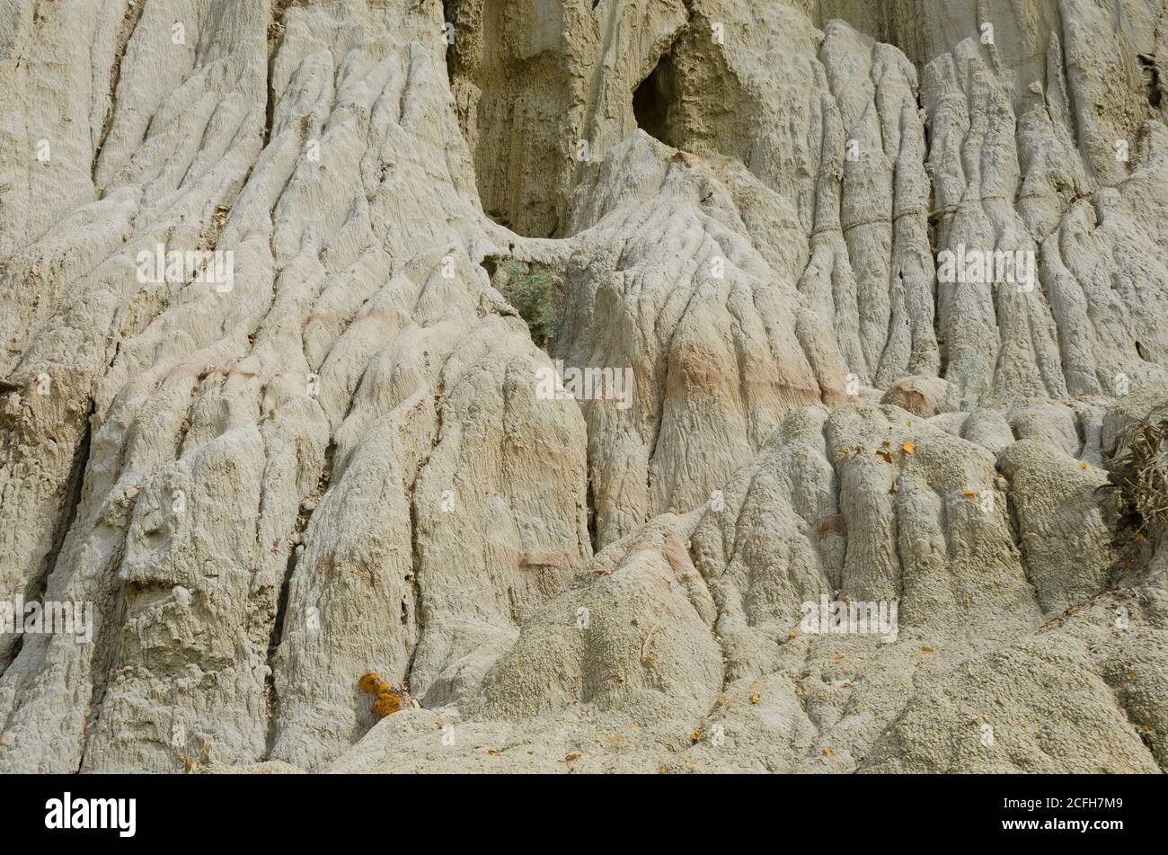 Roosevelt National Park, North Unit Stockfoto