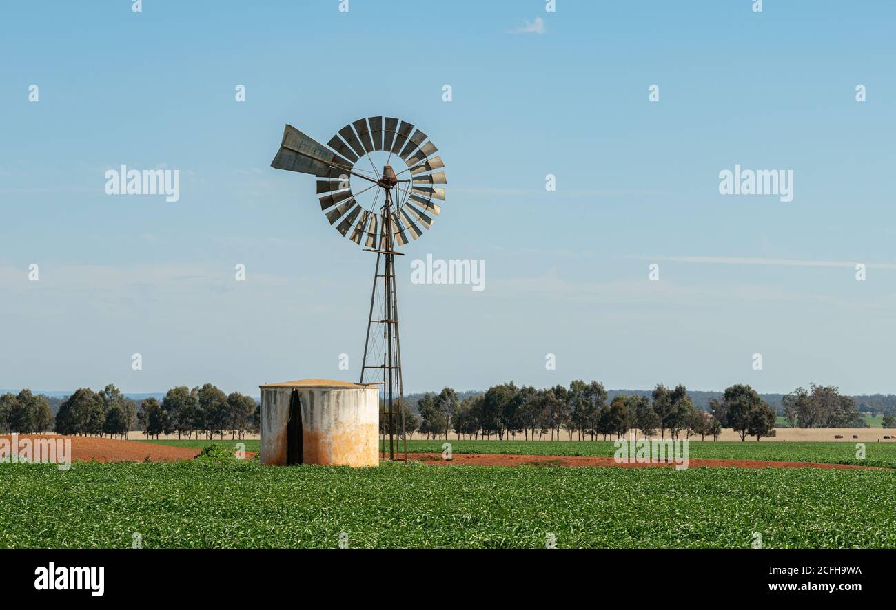 Bohrung Wasser Windmühle Pumpe mit Tank in ländlichen Australien, energiesparende Geräte für die Bewässerung und Fütterung von Nutztieren und Kulturen. Stockfoto