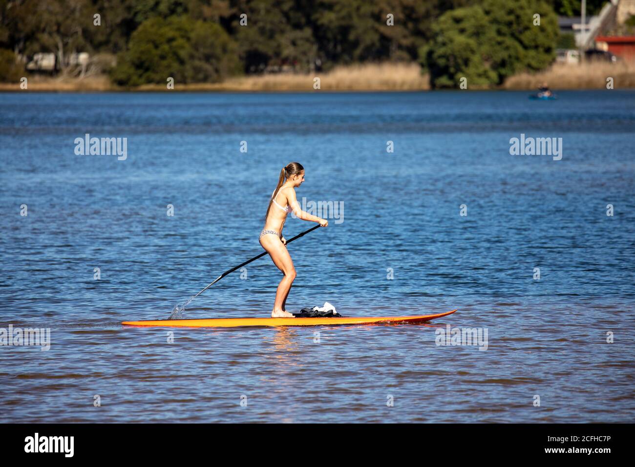 Athletisches Teenager Mädchen auf ihrem Paddle Board in Sydney, Australien Stockfoto