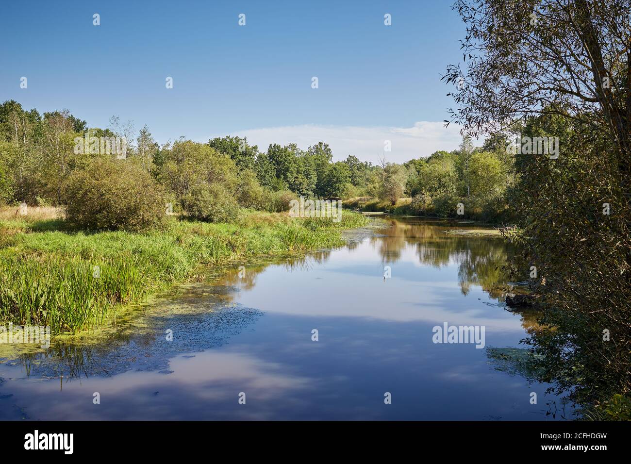 Malerische Landschaft mit ruhigen Fluss und grüner Vegetation. Stockfoto