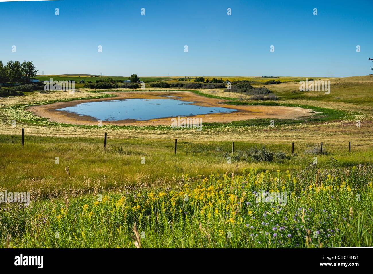 Ein kleiner Prärieteich im ländlichen Saskatchewan, Kanada. Stockfoto