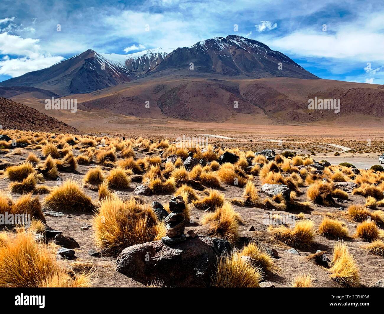 Wilde Puna in Bolivien Hochland, Vulkan Canapa Berg, Altiplano Plateau. Atacama Wüstenlandschaft. Festuca orthophylla Gras. Atemberaubende Aussicht auf die Anden Stockfoto