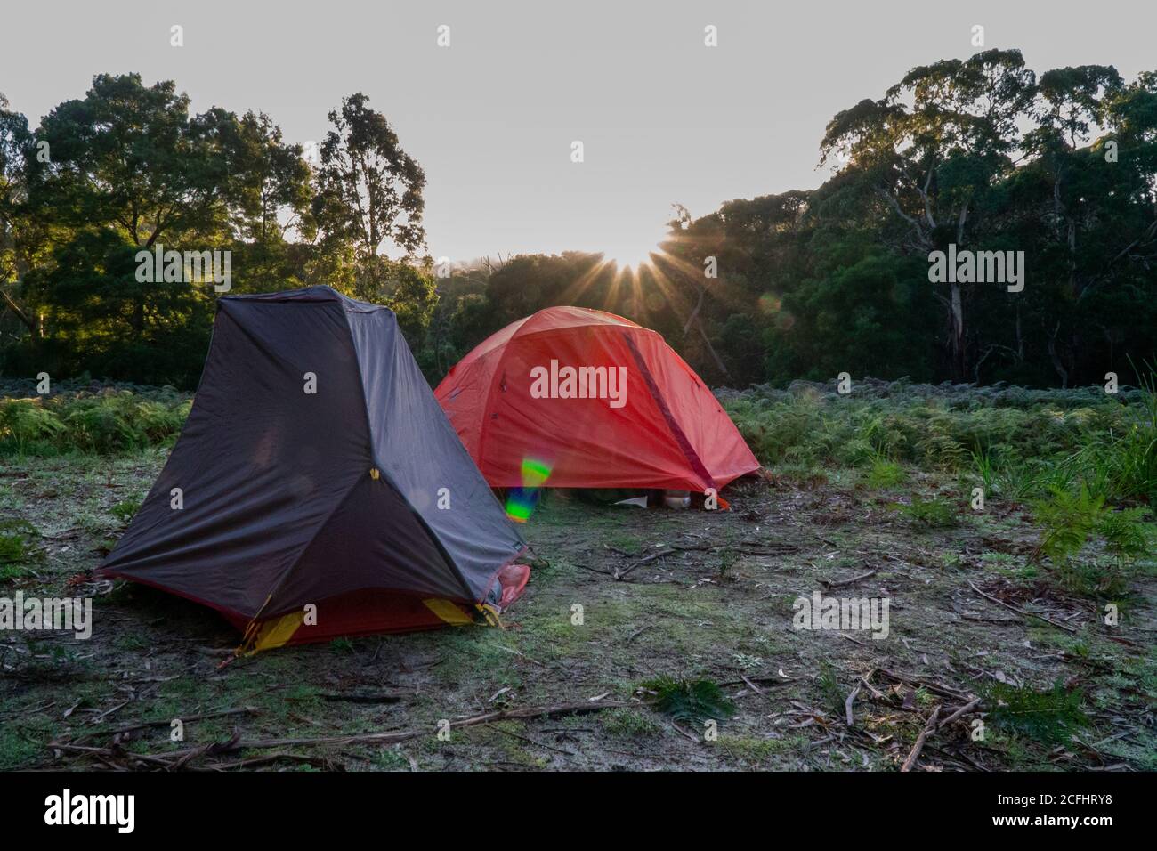 Rotes Zelt (Sonnenaufgang) am Morgen frostig Stockfoto