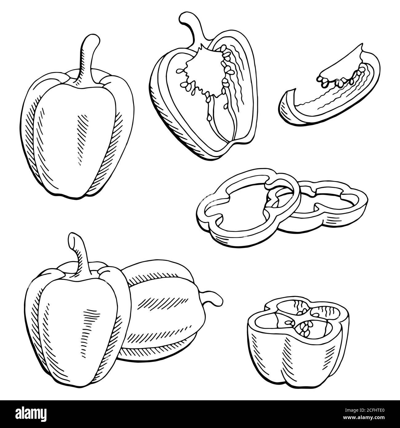 Pfeffer Grafik schwarz weiß isoliert Skizze Illustration Vektor Alamy
