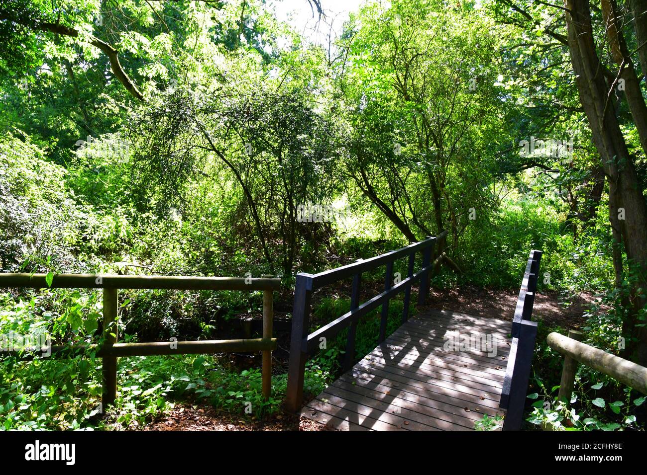 Brücke über eine Wasserstraße bei Lackford Lakes, Nature Reserve, Suffolk, Großbritannien Stockfoto