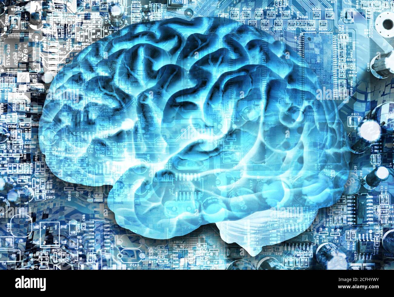 Neuroanreicherung des menschlichen Gehirns Konzept Stockfoto