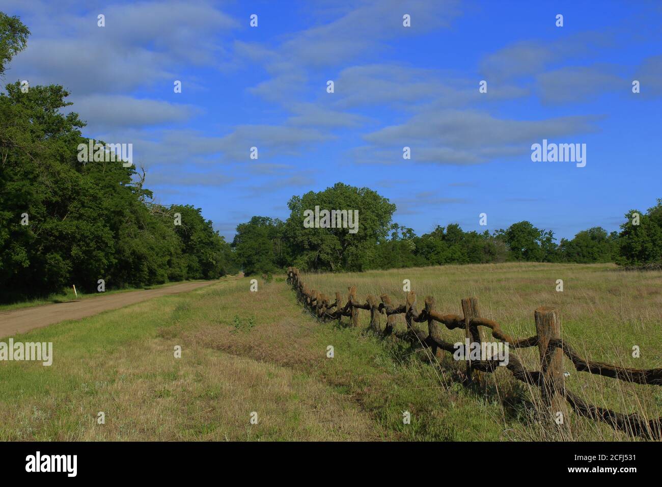 Kansas Holzzaun in einer Weide mit Gras, Bäumen, blauen Himmel und Wolken nördlich von Hutchinson Kansas USA. Das ist draußen auf dem Land. Stockfoto