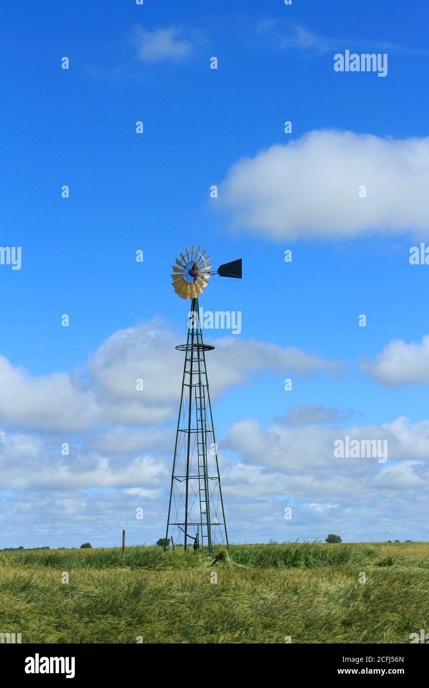 Farbenfrohe Kansas Himmel mit weißen geschwollenen Wolken mit Weizen in einem Feld nördlich von Lyon Kansas USA im Land. Mit einer Windmühle auf dem Feld. Stockfoto