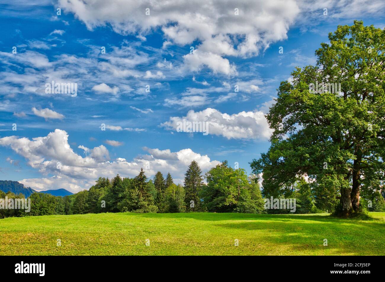 DE - BAYERN: Landschaft am Wackersberg bei Bad Tölz Stockfoto