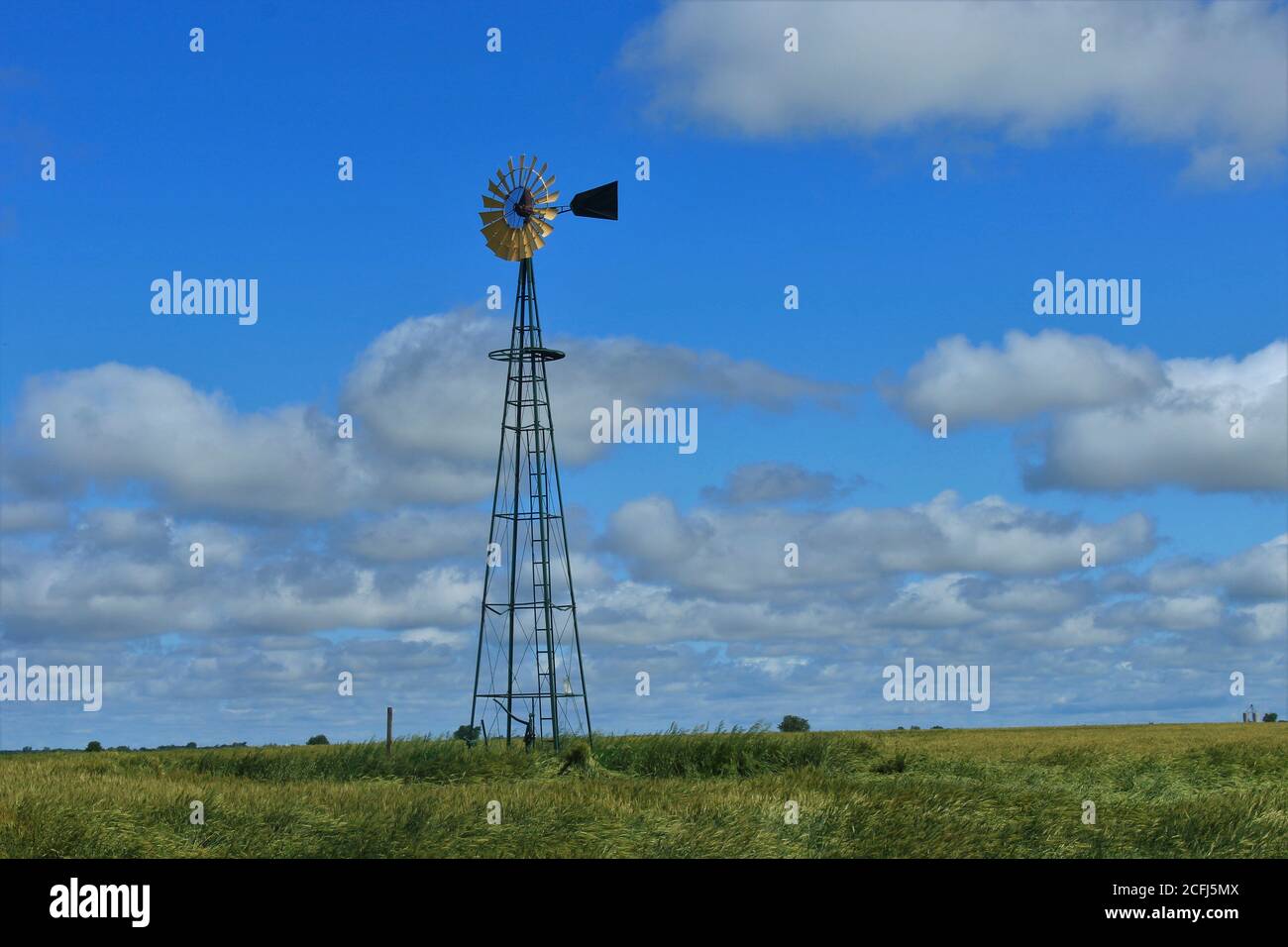 Farbenfrohe Kansas Himmel mit weißen geschwollenen Wolken mit Weizen in einem Feld nördlich von Lyon Kansas USA im Land. Mit einer Windmühle auf dem Feld. Stockfoto