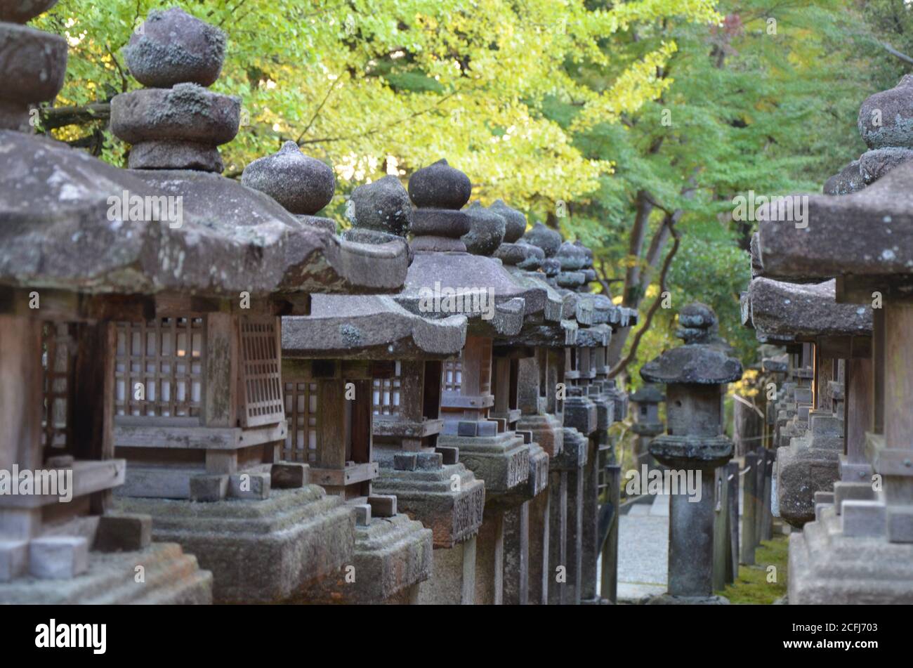 Steinlaternen mit Moos bei Kasuga Taisha im Schrein, Nara, Japan Stockfoto