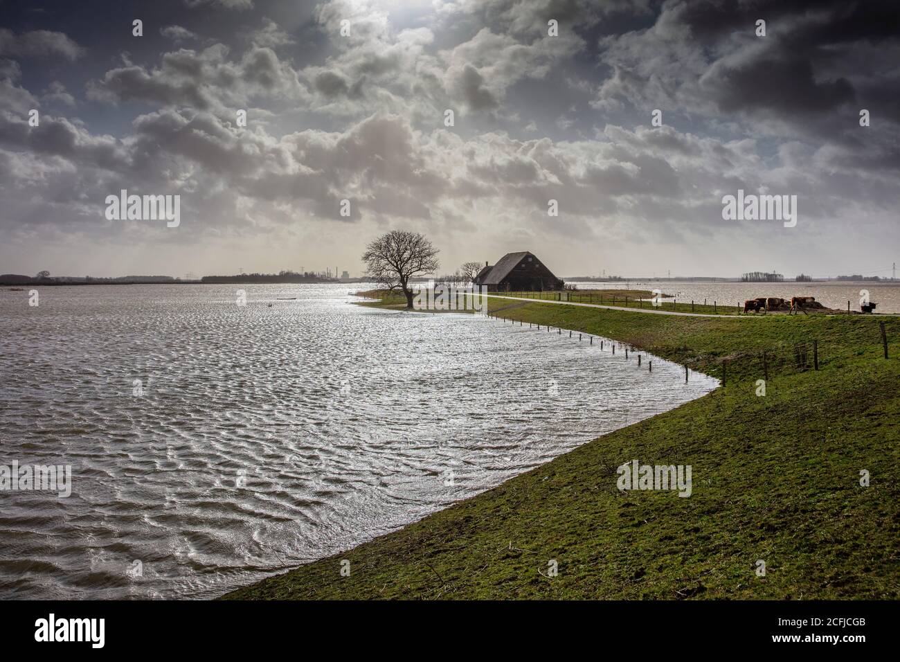 Niederlande, Werkendam, Nationalpark De Biesbosch. Absichtliche Überschwemmung des Polders Noordwaard. Raum für das River-Projekt. Isolierte Farm. Stockfoto