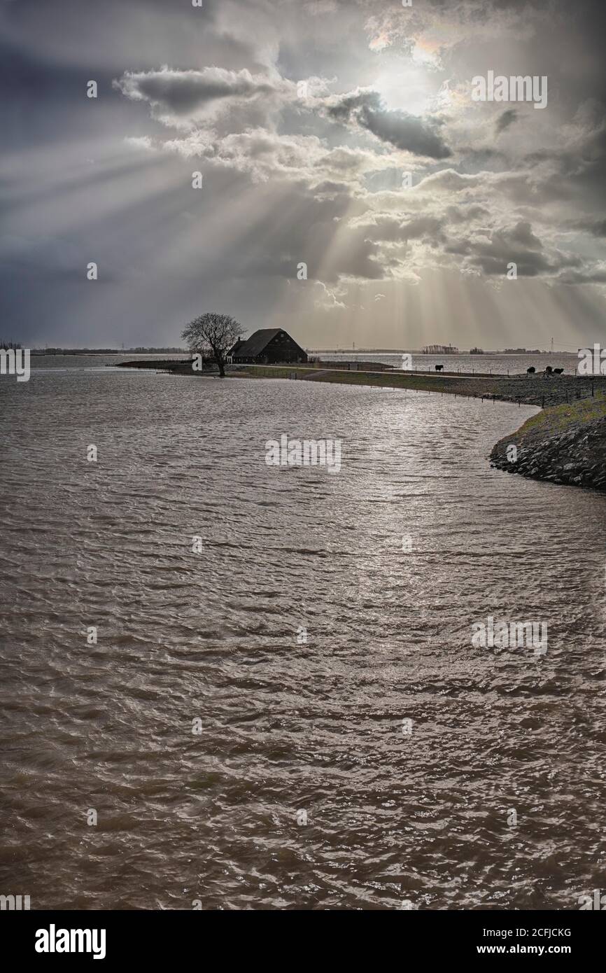 Niederlande, Werkendam, Nationalpark De Biesbosch. Absichtliche Überschwemmung des Polders Noordwaard. Raum für das River-Projekt. Isolierte Farm. Stockfoto