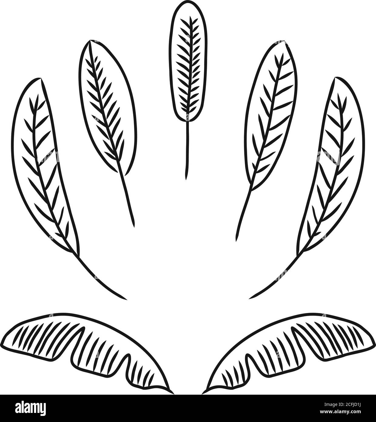 Handgezeichnete Sammlung über Blätter für jedes kreative Design. vektor-Illustration Stock Vektor
