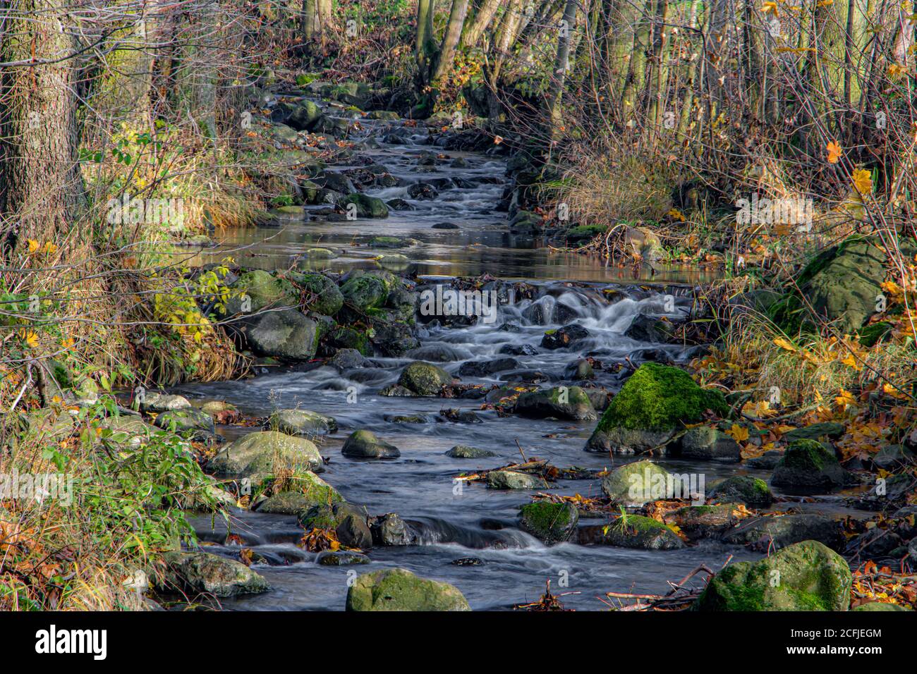 Herbstlaub im Bach am Wald. Herbstbach mit abgefallenen bunten Blättern. Die Wasserfallkaskade im Bach mit den Felsen. Stockfoto
