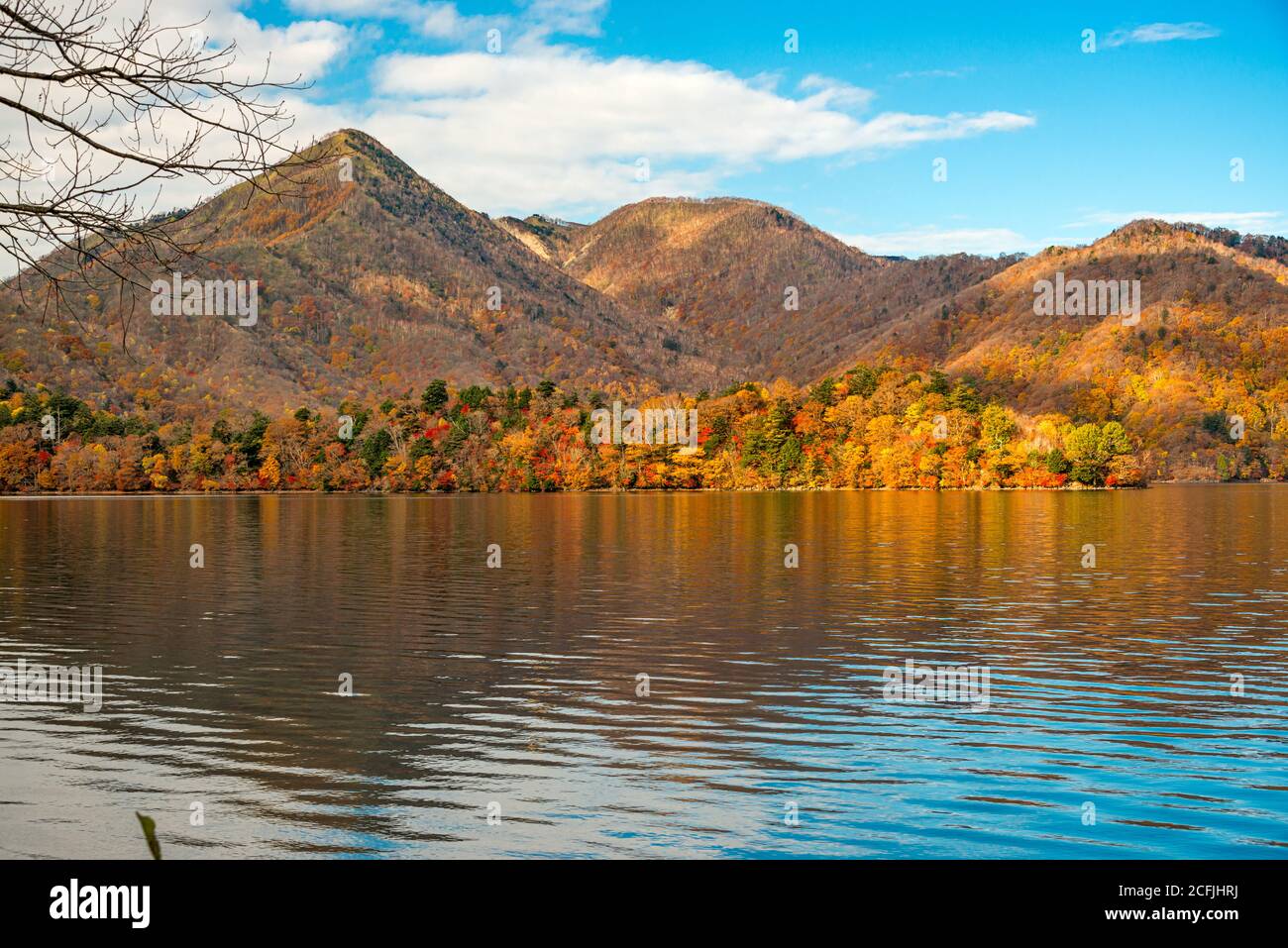 Herbstlaub in den Bergen rund um den Chuzenji-See in Nikko, Japan. Stockfoto