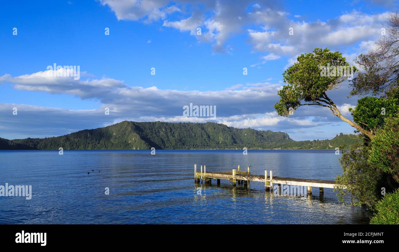 Lake Rotoiti in der Rotorua Gegend, Neuseeland. Ein kleiner hölzerner Pier ragt auf dem Wasser hervor. Die umliegenden Hügel sind mit einheimischen Wäldern bedeckt Stockfoto