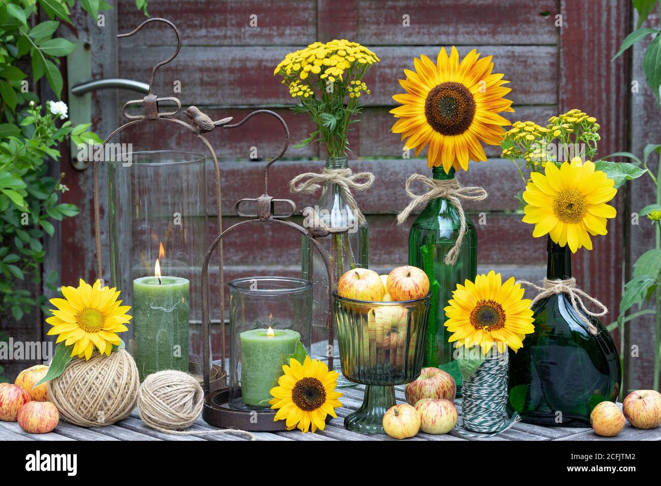 Sommer Gartendekoration mit Sonnenblumen in Glasflaschen und Äpfeln Stockfoto