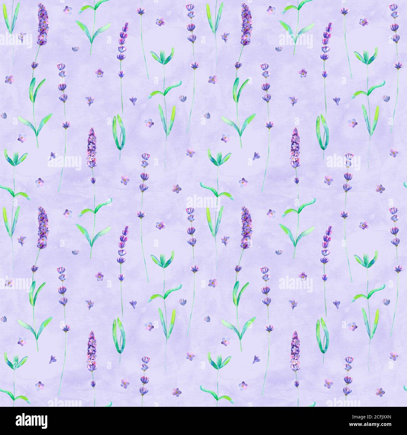 Lavendel Blumen Aquarell nahtlose Muster auf lila Hintergrund. Aquarell handgezeichnete botanische Textur Illustration. Print für Textil, Tapete Stockfoto
