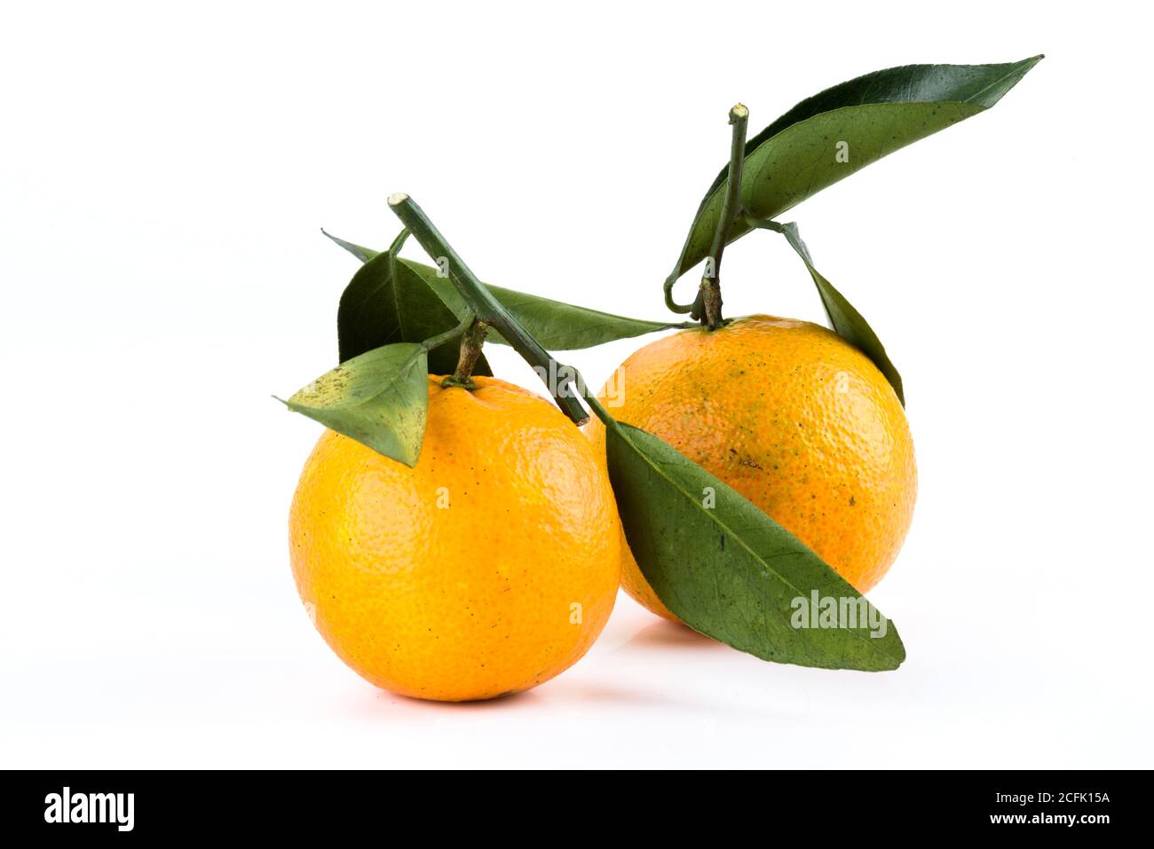 Das Orange auf weißem Hintergrund Stockfoto