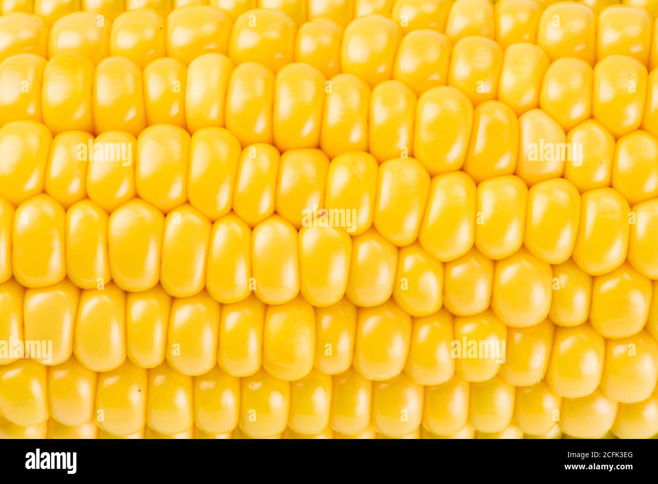 Süßer Mais auf weißem Hintergrund Stockfoto