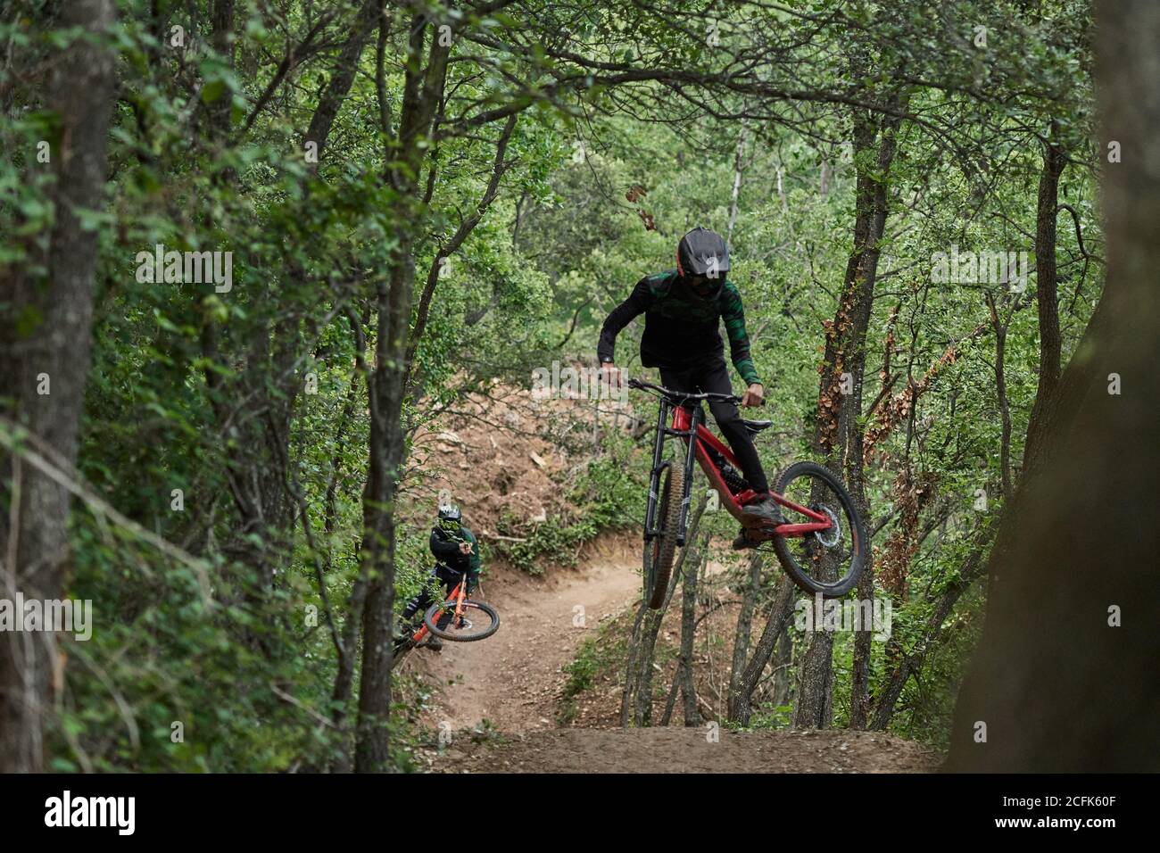 Männliche Radfahrer in Schutzhelmen und Kostümen, die gefährliche Stunts durchführen Auf Rädern für Downhill auf Trail im Wald Stockfoto