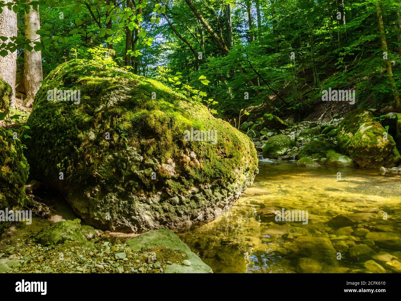 Großer Felsen im Sonnenlicht, überwuchert mit grünem Moos, am Bach eines Naturwaldes. Großer Stein am Rande eines Bachbettes an einem sonnigen Sommertag Stockfoto