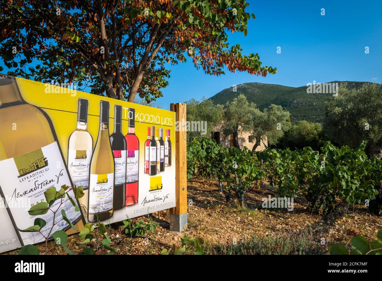 Die Lefkaditiki Gi Winery, der einzige große kommerzielle Weinproduzent auf der griechischen Insel Lefkada, die Touristen und Besuchern lokale Weine anbieten. Stockfoto