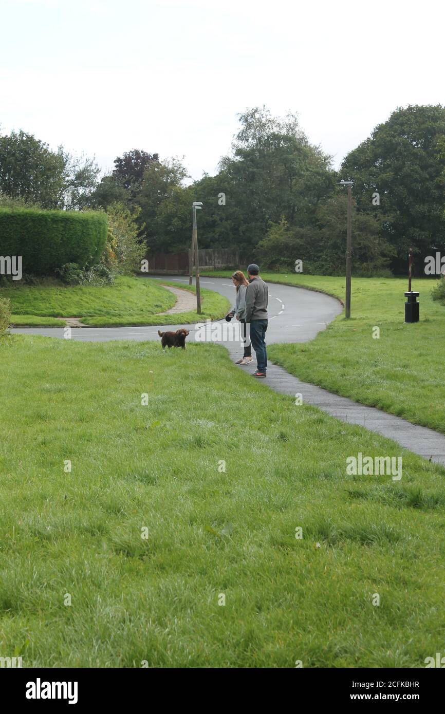 Paar, das den Hund zusammen in einem Park mit Kopie läuft Raum im Hochformat Stockfoto