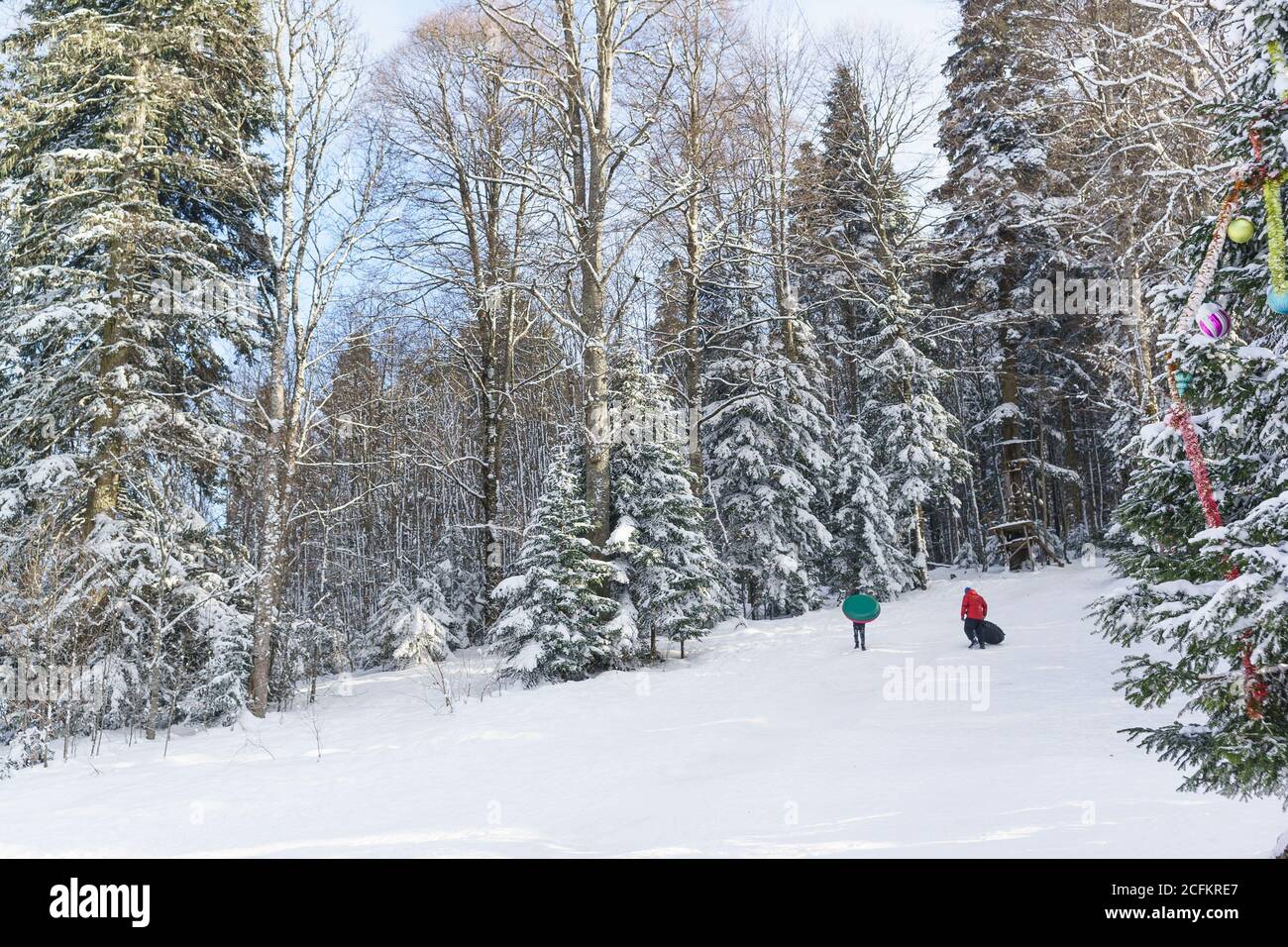 Kinder und Erwachsene klettern auf einem Schlauchboot in die Rutsche. Sonniger Wintertag im Nadelwald. Baum geschmückt mit Weihnachtsspielzeug Stockfoto