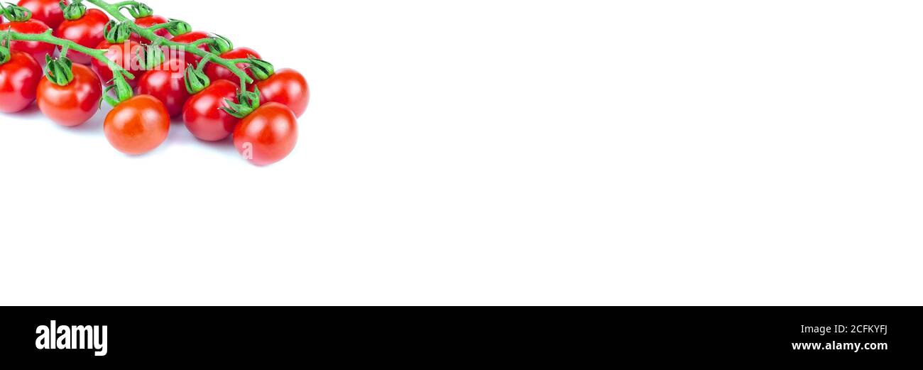Zweig der Kirschtomaten auf weißem isolierten Hintergrund. Foto-Banner, Platz für Text Stockfoto