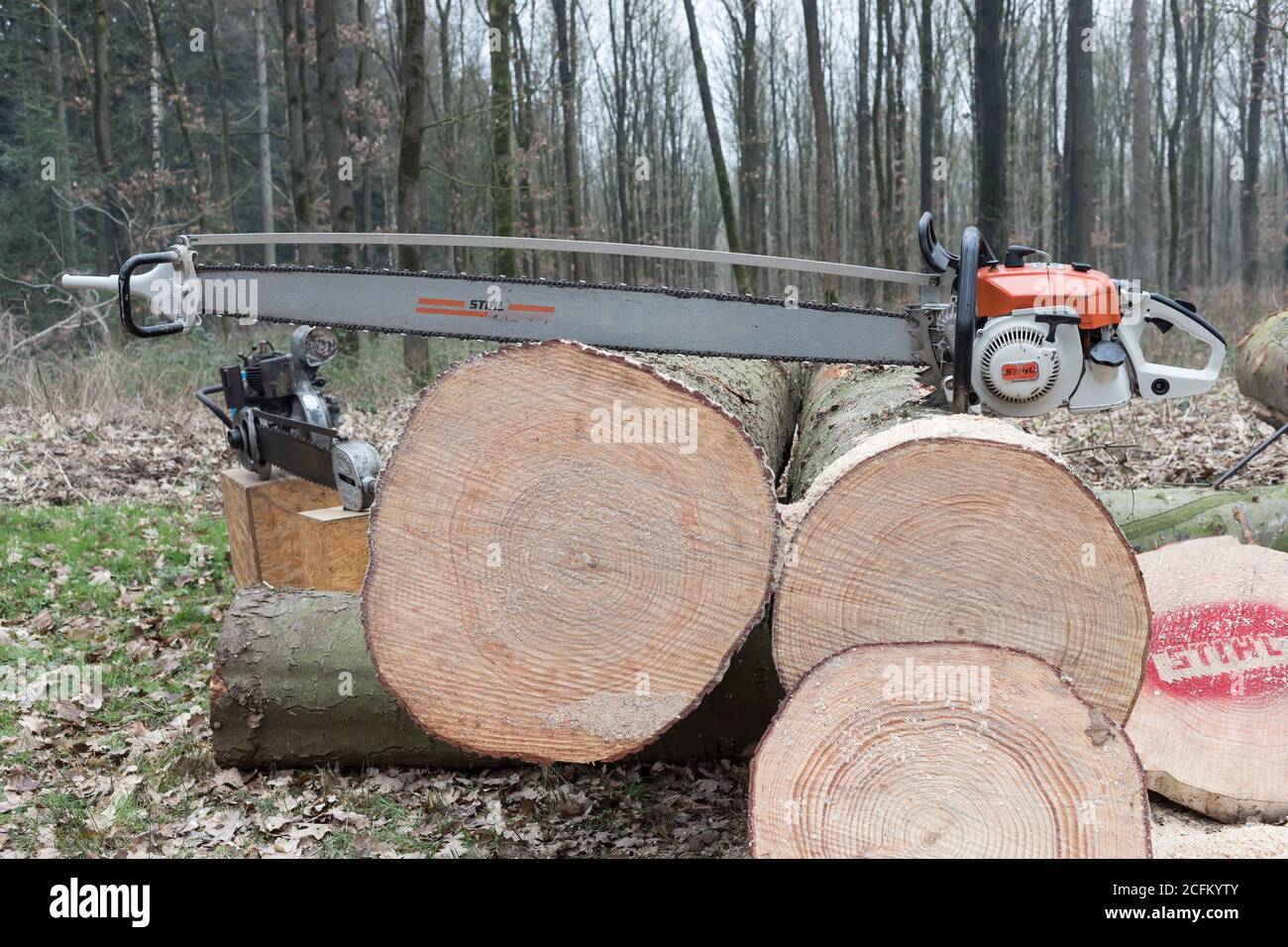 Lange noch Kettensäge auf abgeschnittem Baumstamm Stockfoto