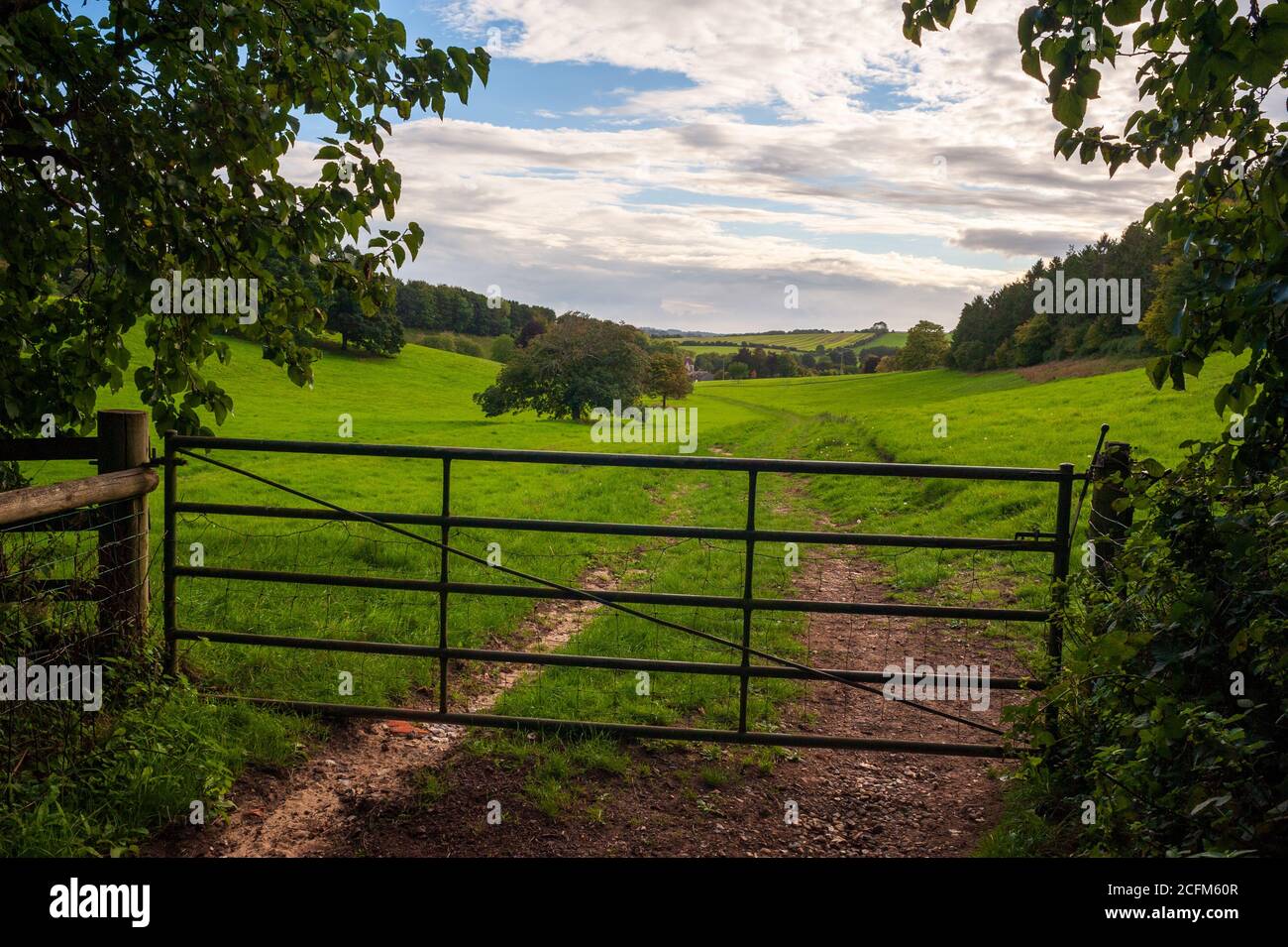 Fünf Bar Metalltor und Landschaft in der Landschaft von Hampshire in der Nähe von Rockbourne, Großbritannien im September Stockfoto