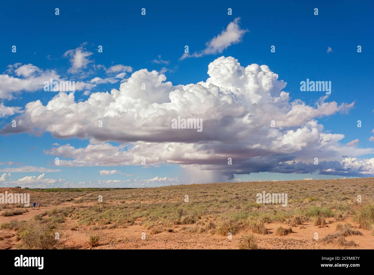 Arizona, Winslow, Homolovi State Park, Hopi Vorfahren Puebloan archäologischen Stätten Stockfoto