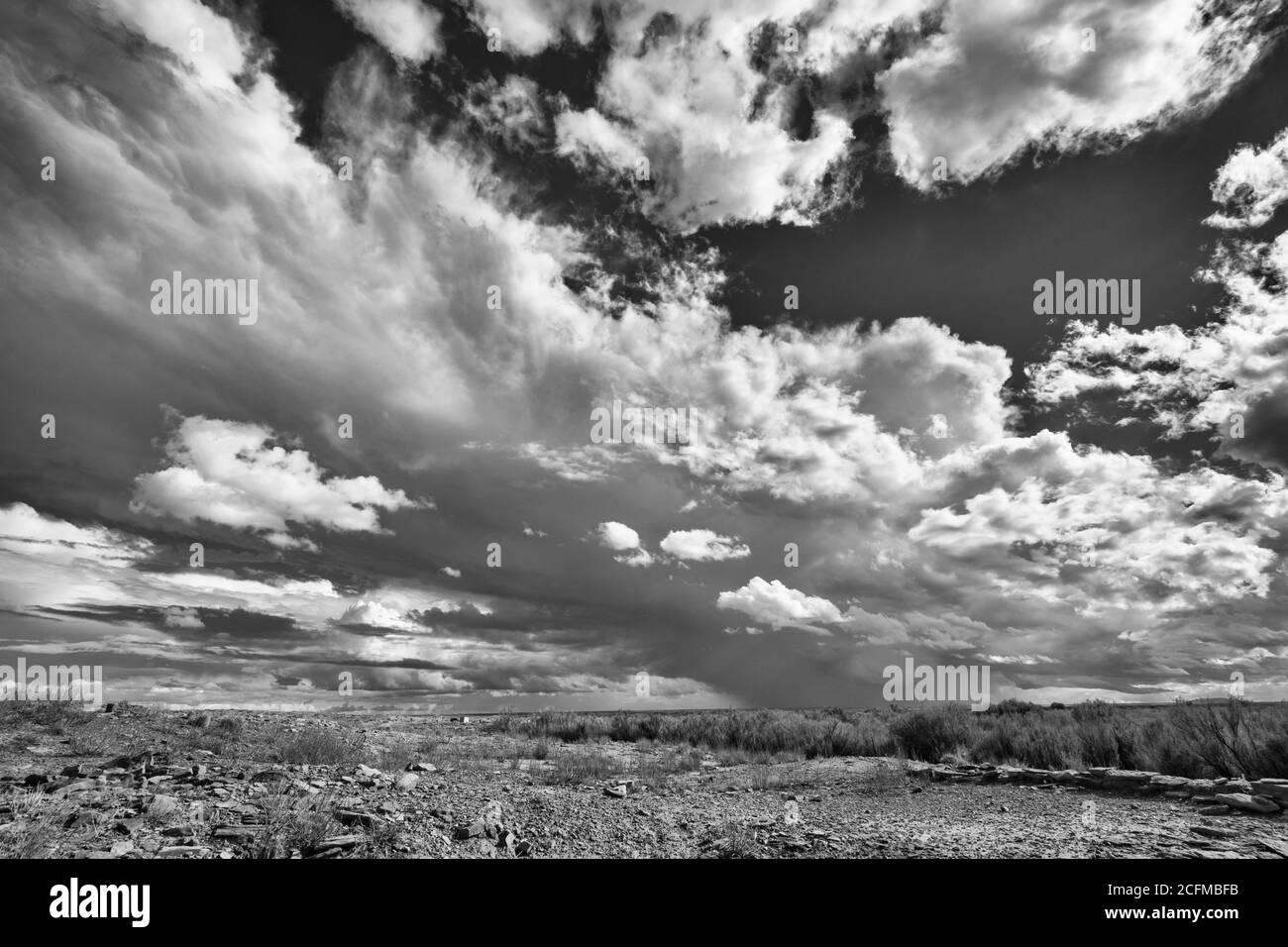Arizona, Winslow, Homolovi State Park, Hopi Ahnenkomplex archäologische Stätten, Cumulus Wolken, monochrom Stockfoto