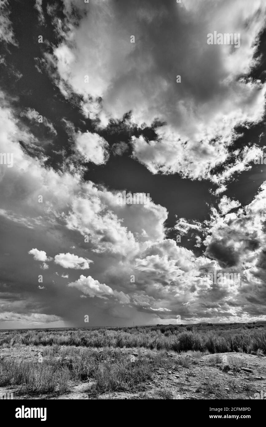 Arizona, Winslow, Homolovi State Park, Hopi Ahnenkomplex archäologische Stätten, Cumulus Wolken, monochrom Stockfoto