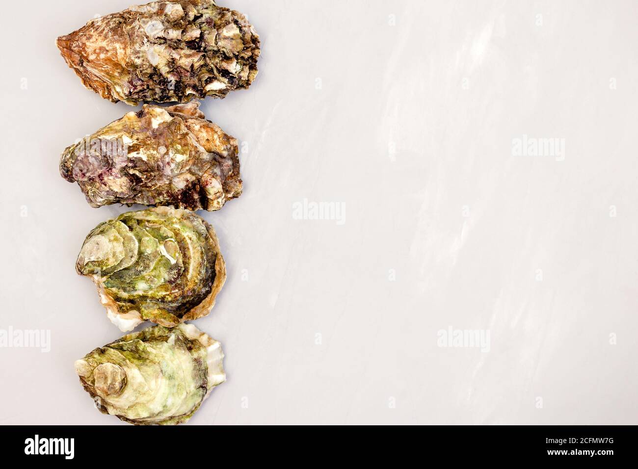 Geschlossene Austern auf grauem Tisch. Draufsicht mit Kopierbereich. Oyster Bar. Meeresfrüchte. Austern-Konzept. Partyessen. Stockfoto