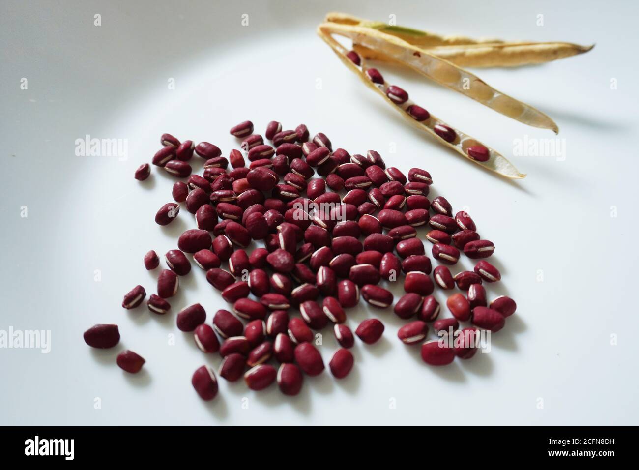 Red Bean ist ein weiteres Grundnahrungsmittel in Asien, vor allem China und Japan, die diese Zutat verwendet meist in ihrer süßen und Dessert-Kategorie. Stockfoto