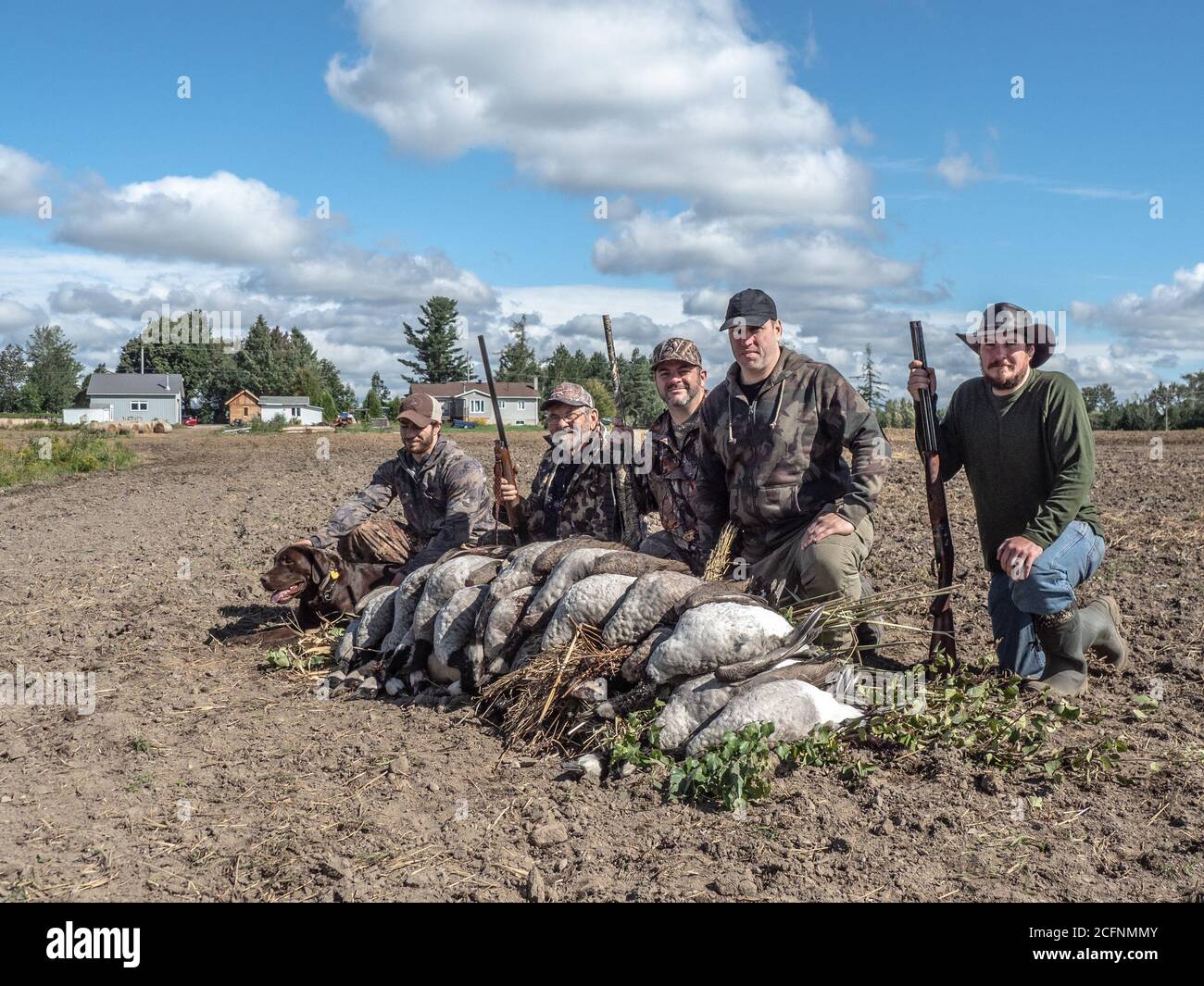 Jagd auf Wildgänse Enten Schnee Gänse Gans Jagd Stockfoto